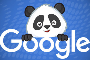 google-panda