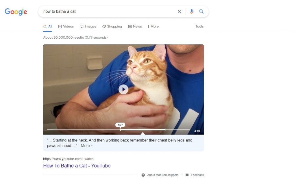 a featured snippet for the how to bathe a cat keyword